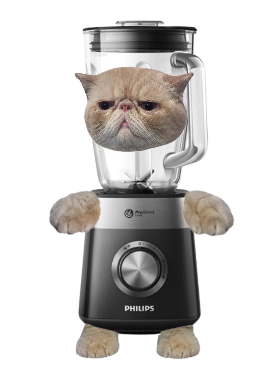 Blender Cat